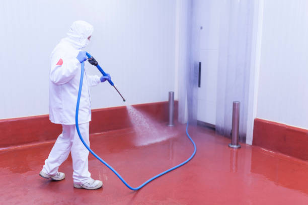 Best Driveway Pressure Washing  in Moore Haven, FL