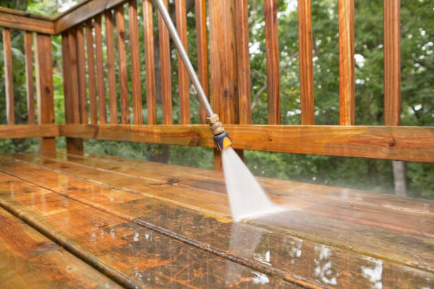 Best Patio and Deck Pressure Washing  in Moore Haven, FL